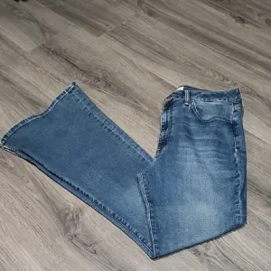 EUC Hudson Heidi High Rise Flare Bubbly Jeans