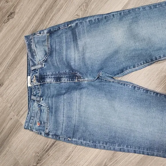 EUC Hudson Heidi High Rise Flare Bubbly Jeans