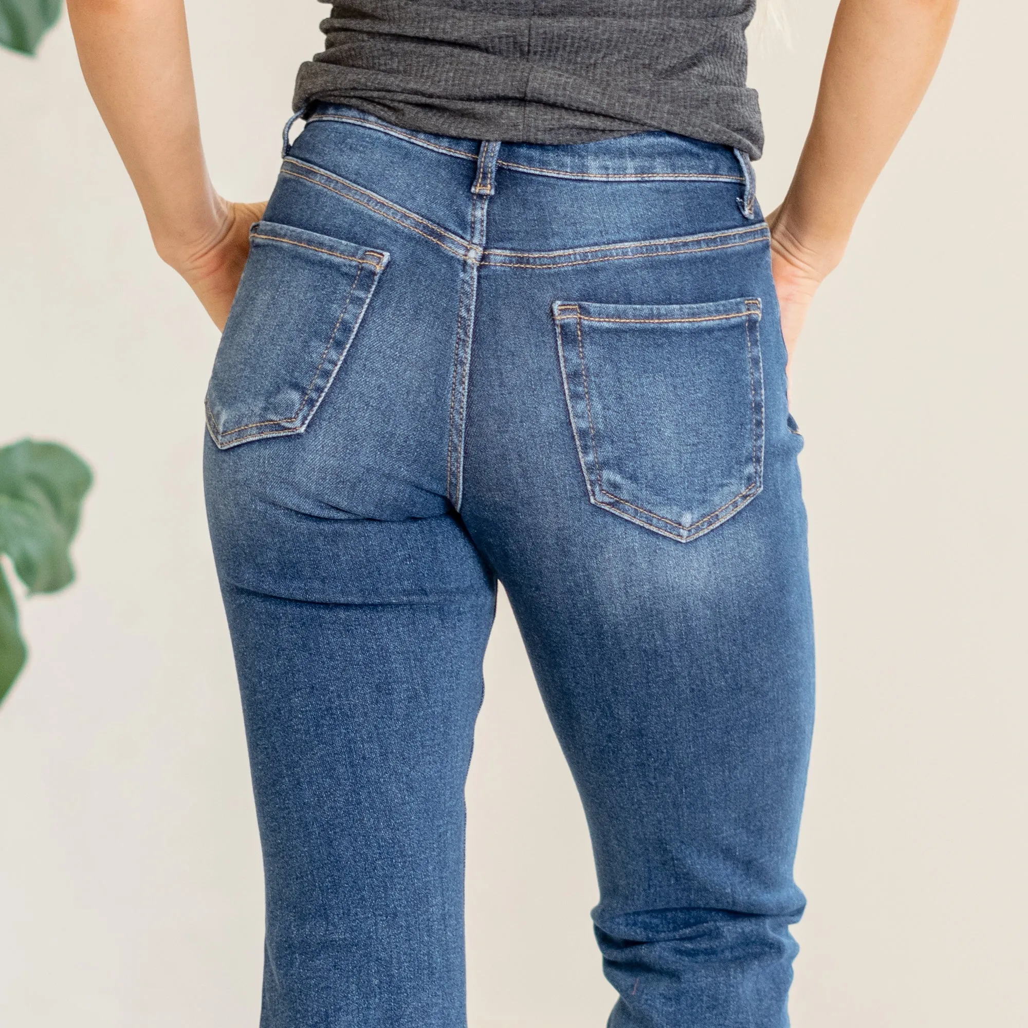 Fabulously High Rise Straight Leg Regular & Plus Sizes