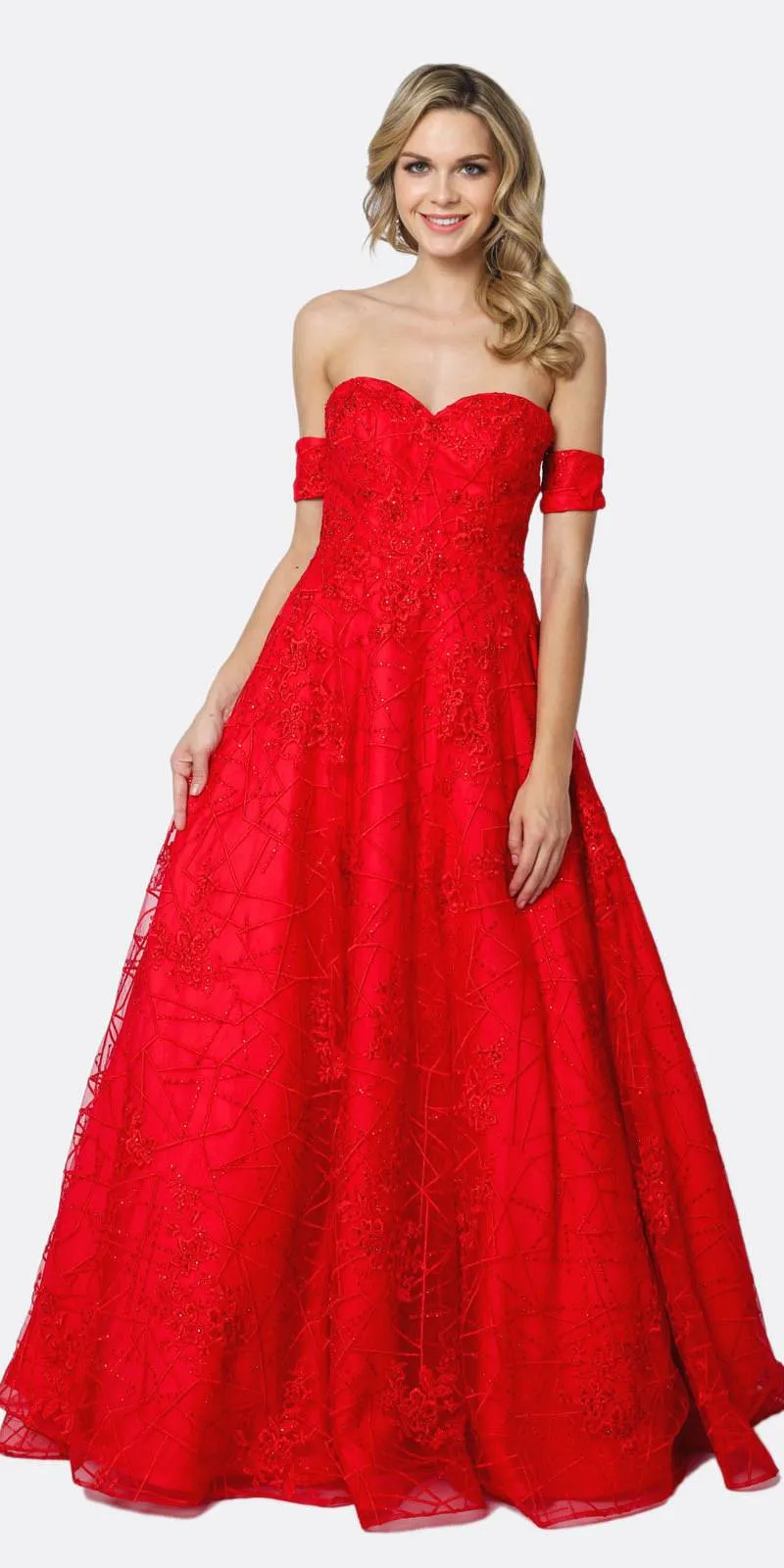 Juliet 692 Long Embroidered Lace Ball Gown Dress With Arm Band