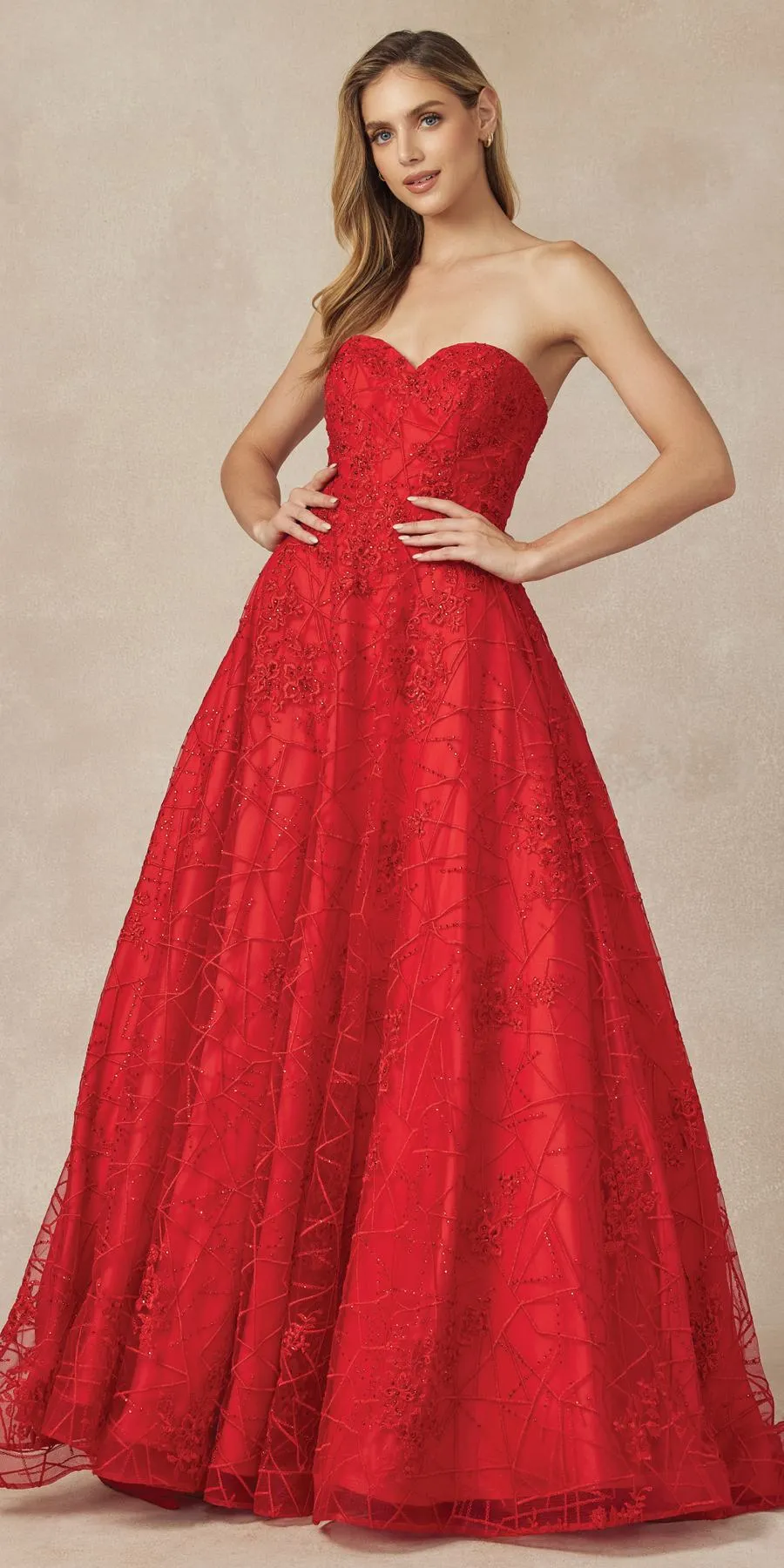 Juliet 692 Long Embroidered Lace Ball Gown Dress With Arm Band