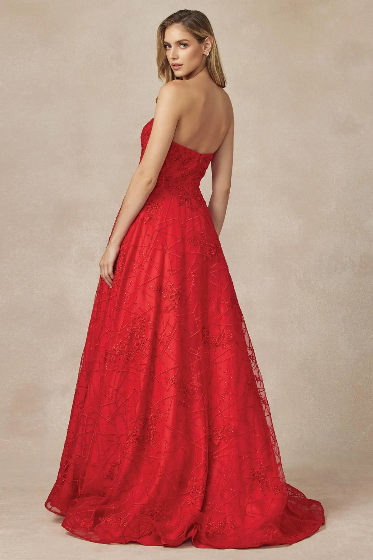 Juliet 692 Long Embroidered Lace Ball Gown Dress With Arm Band