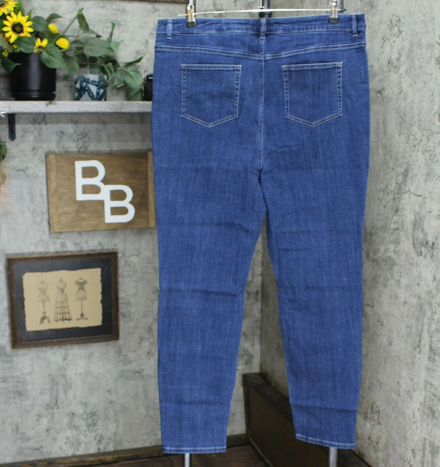NWT LOGO By Lori Goldstein Plus Skinny Leg High Waisted Jeans. A309792 20W
