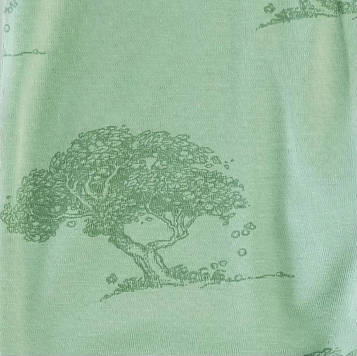 Short Sleeve Ringer Tee - Apple Tree