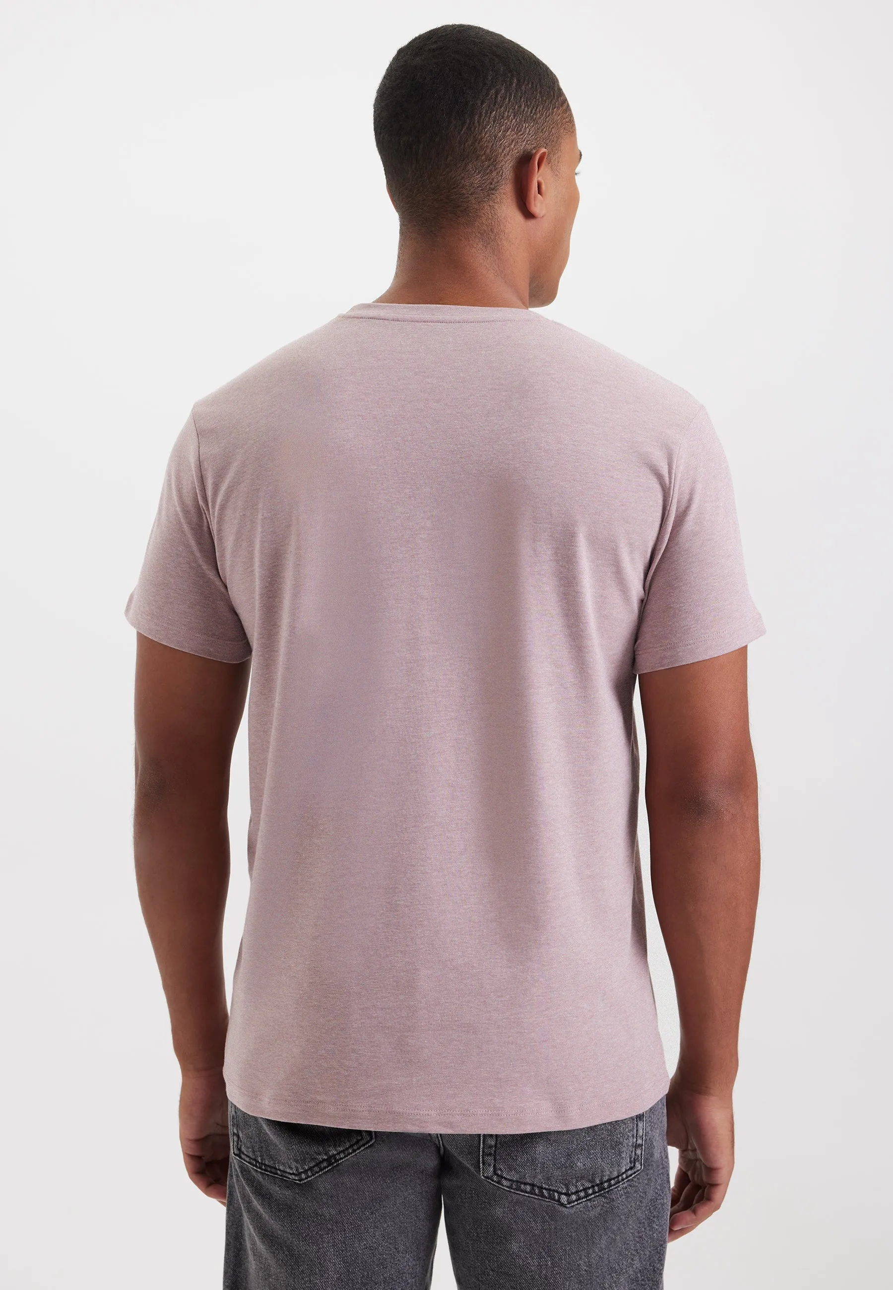 Somon Melanj Bisiklet Yaka Regular Fit Basic Erkek T-Shirt MERLIN