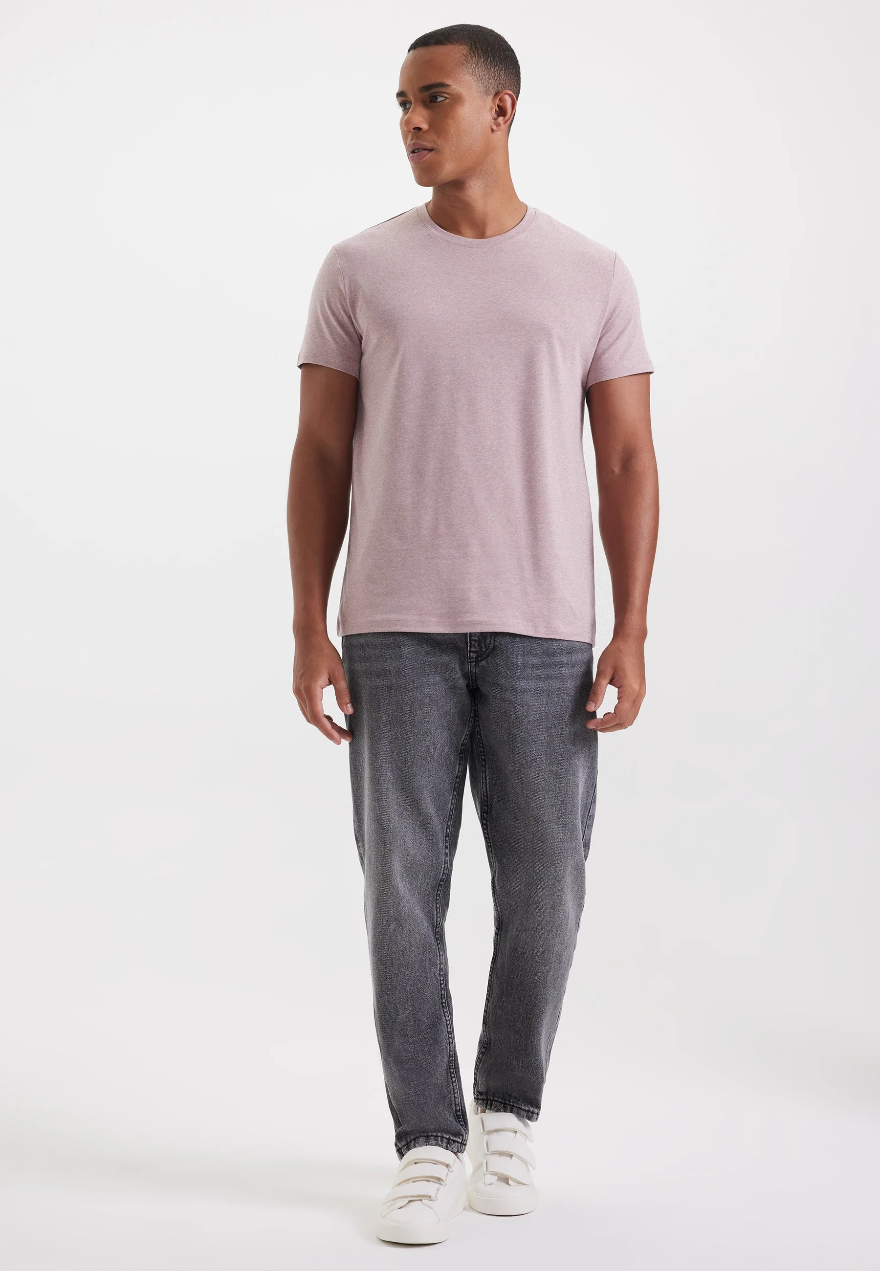 Somon Melanj Bisiklet Yaka Regular Fit Basic Erkek T-Shirt MERLIN